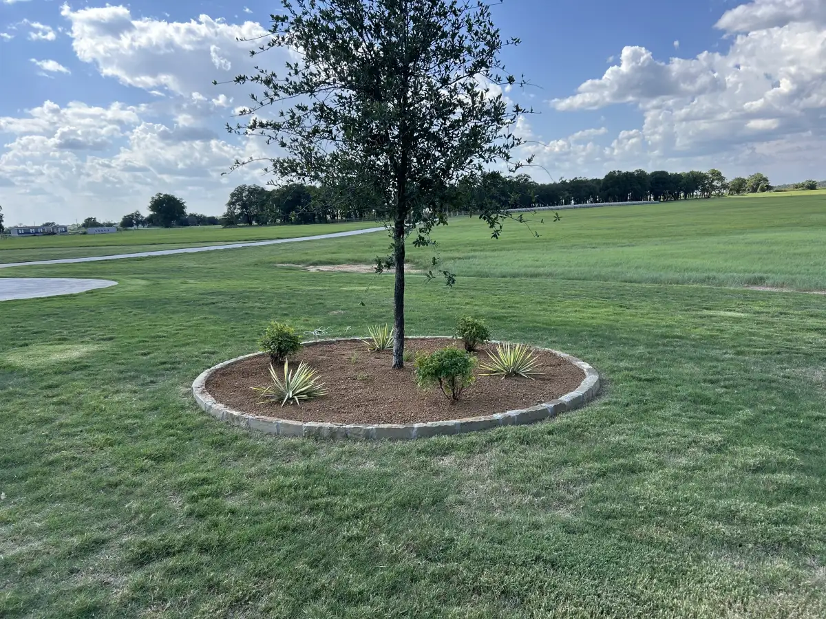 Complete yard transformation with landscaping and stone features in Weatherford TX